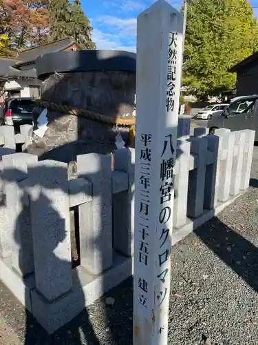 下野國一社八幡宮(栃木県)