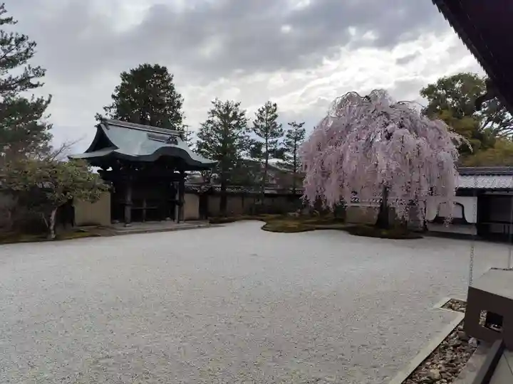 高台寺(高台寿聖禅寺・高臺寺)(京都府)