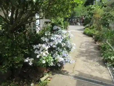 長楽寺(静岡県)