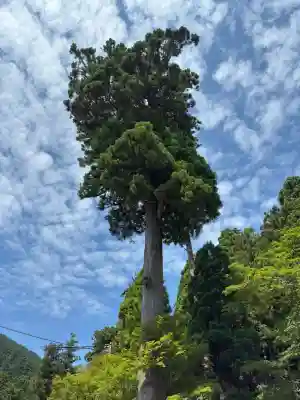 延暦寺 根本中堂(滋賀県)