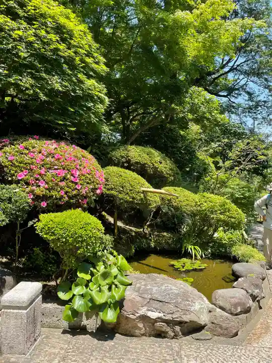 報国寺(神奈川県)