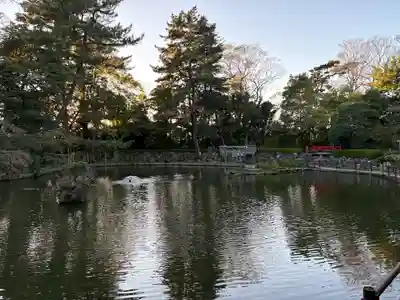 越ヶ谷久伊豆神社(埼玉県)