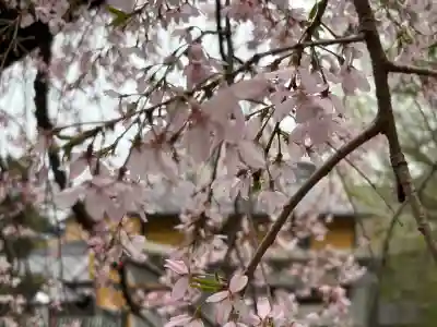 根岸八幡神社(神奈川県)