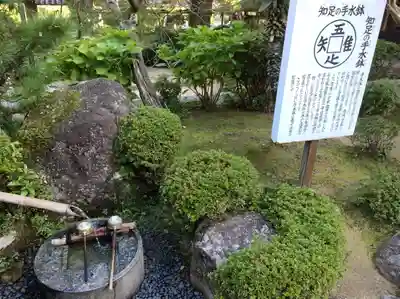 瑠璃光寺(山口県)