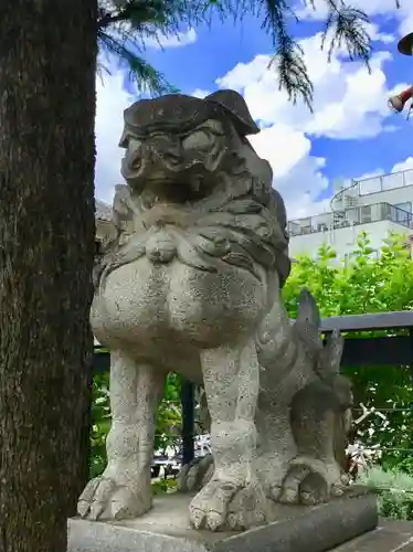 今戸神社の狛犬