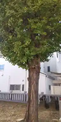 稲荷神社(東京都)