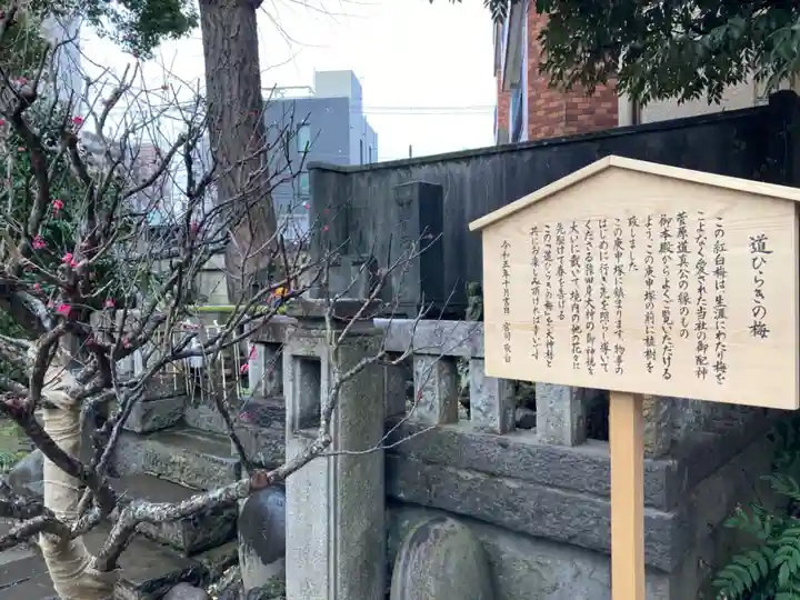 小野照崎神社(東京都)