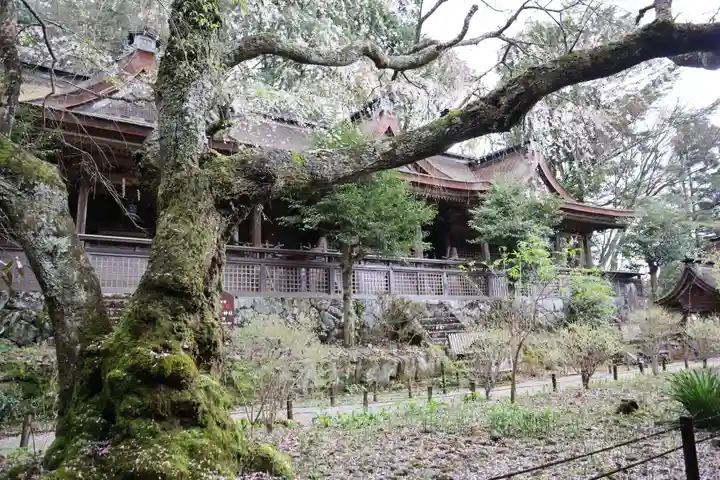 吉野水分神社(吉野町)の本殿・本堂