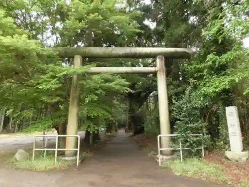 縣神社の鳥居