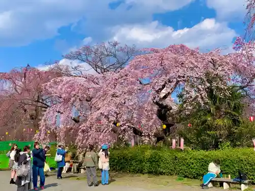 榴岡天満宮の{uncategorized: "未分類", other: "その他", undefined: "問題あり", building: "その他建物", grave: "お墓", sacred_gate: "鳥居", guardian: "狛犬", statue: "像", buddha: "仏像", history: "歴史", nature: "自然", garden: "庭園", animal: "動物", pagoda: "塔", temizu: "手水舎", mountain_gate: "山門・神門", sanctuary: "本殿・本堂", subordinate: "末社・摂社", art: "芸術", scenery: "景色", jizo: "地蔵", ema: "絵馬", goshuin: "御朱印", omikuji: "おみくじ", items: "授与品その他", amulet: "お守り", goshuincho: "御朱印帳", eats: "食事", festival: "お祭り", votive_dance: "神楽", shichigosan: "七五三参", wedding: "結婚式", experience: "体験その他", initially: "初詣", around: "周辺", anti_infection: "感染症対策"}