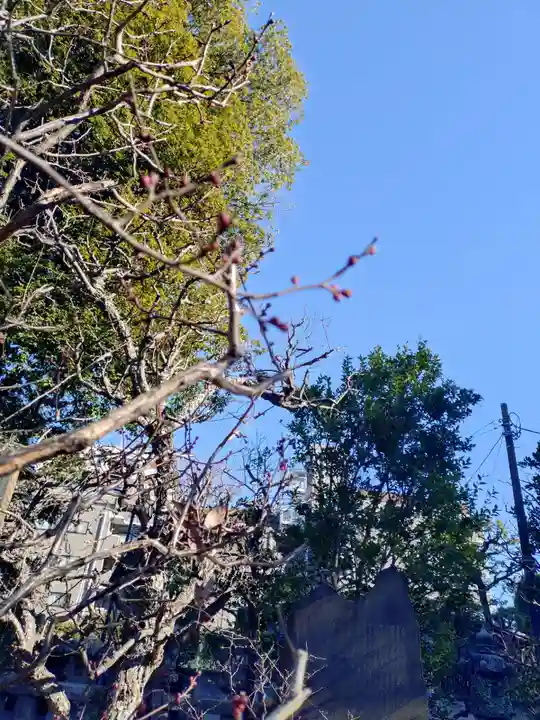 布多天神社(東京都)