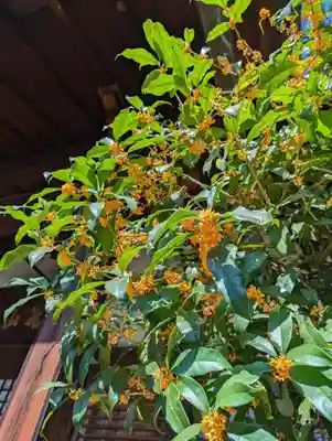 長榮寺(長栄寺)(京都府)