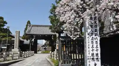 妙蓮寺の山門・神門