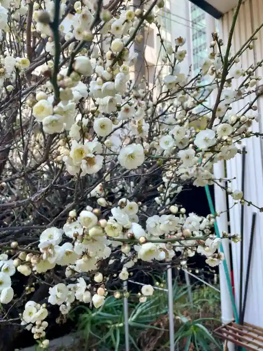 妙典寺の{uncategorized: "未分類", other: "その他", undefined: "問題あり", building: "その他建物", grave: "お墓", sacred_gate: "鳥居", guardian: "狛犬", statue: "像", buddha: "仏像", history: "歴史", nature: "自然", garden: "庭園", animal: "動物", pagoda: "塔", temizu: "手水舎", mountain_gate: "山門・神門", sanctuary: "本殿・本堂", subordinate: "末社・摂社", art: "芸術", scenery: "景色", jizo: "地蔵", ema: "絵馬", goshuin: "御朱印", omikuji: "おみくじ", items: "授与品その他", amulet: "お守り", goshuincho: "御朱印帳", eats: "食事", festival: "お祭り", votive_dance: "神楽", shichigosan: "七五三参", wedding: "結婚式", experience: "体験その他", initially: "初詣", around: "周辺", anti_infection: "感染症対策"}