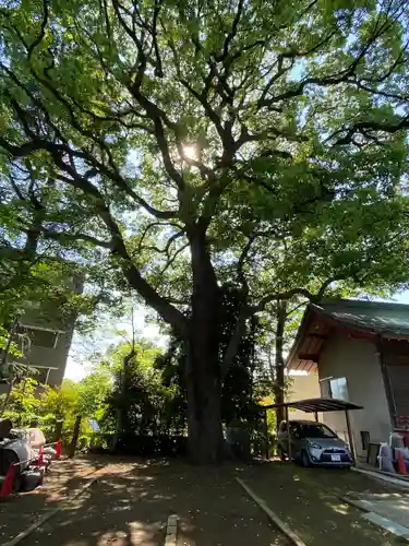 玉川神社(東京都)