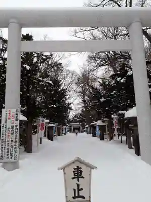 新琴似神社の鳥居