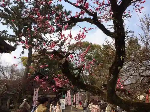 北野天満宮の庭園