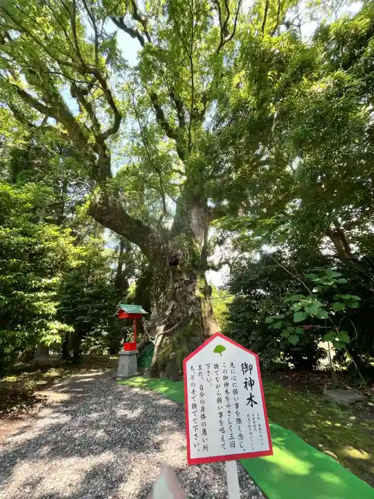 大汝牟遅神社(鹿児島県)