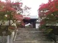 曼殊院門跡の山門・神門