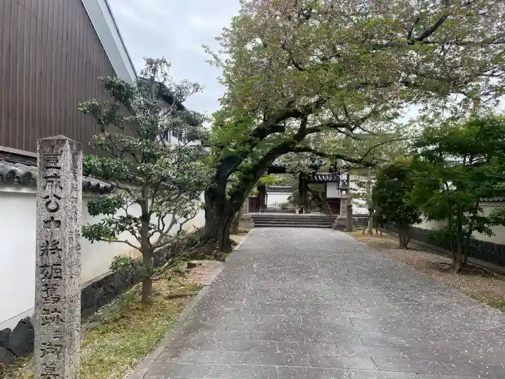 徳融寺の{uncategorized: "未分類", other: "その他", undefined: "問題あり", building: "その他建物", grave: "お墓", sacred_gate: "鳥居", guardian: "狛犬", statue: "像", buddha: "仏像", history: "歴史", nature: "自然", garden: "庭園", animal: "動物", pagoda: "塔", temizu: "手水舎", mountain_gate: "山門・神門", sanctuary: "本殿・本堂", subordinate: "末社・摂社", art: "芸術", scenery: "景色", jizo: "地蔵", ema: "絵馬", goshuin: "御朱印", omikuji: "おみくじ", items: "授与品その他", amulet: "お守り", goshuincho: "御朱印帳", eats: "食事", festival: "お祭り", votive_dance: "神楽", shichigosan: "七五三参", wedding: "結婚式", experience: "体験その他", initially: "初詣", around: "周辺", anti_infection: "感染症対策"}