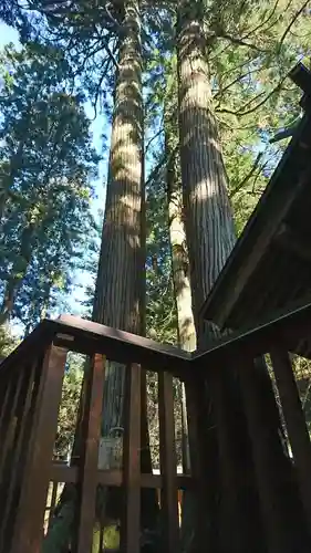 黄金山神社の自然