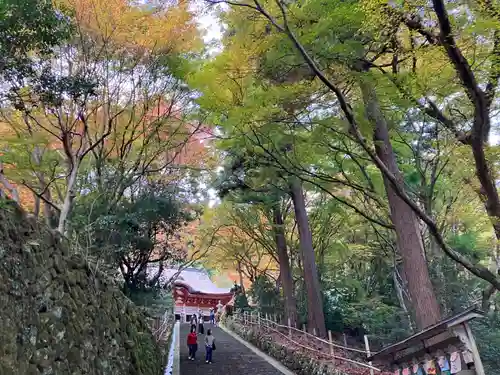鰐淵寺(島根県)