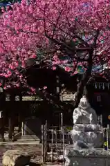 荏原神社の自然