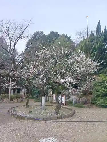加納天満宮(岐阜県)