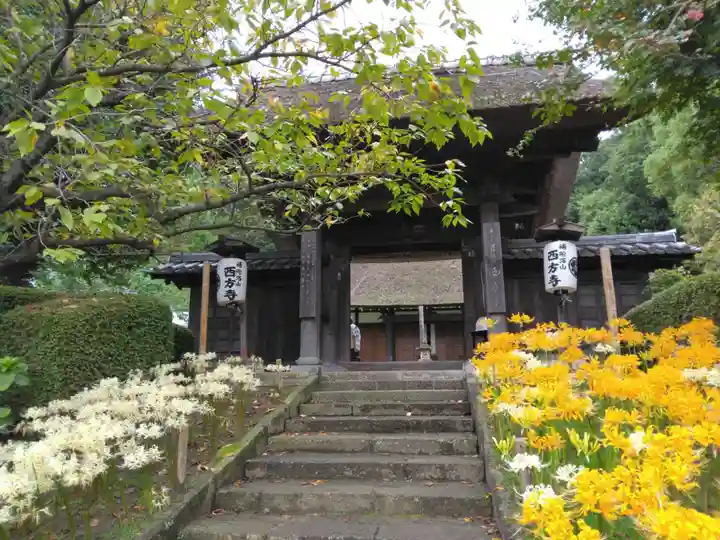 横浜 西方寺(神奈川県)