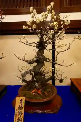 大阪天満宮の芸術