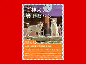 丹生都比売神社(和歌山県)(2025年10月18日(土) 09時32分50秒投稿)