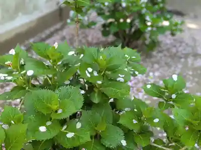 三津厳島神社(愛媛県)