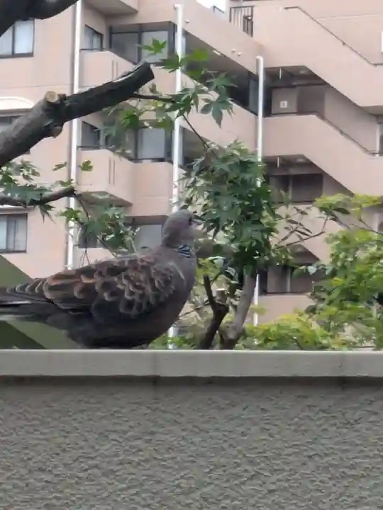 五方山熊野神社(東京都)
