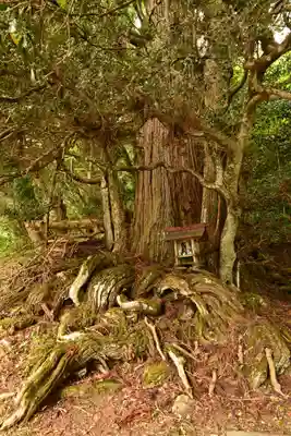 鉾神社(徳島県)