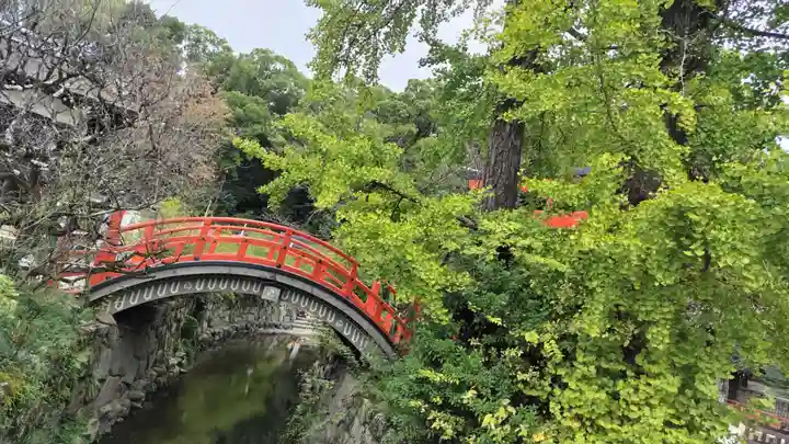 賀茂御祖神社(下鴨神社)(京都府)