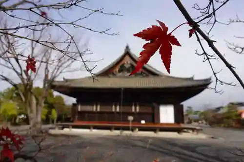 蓮華王院（三十三間堂）の本殿