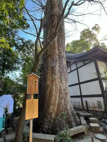 川越氷川神社の{uncategorized: "未分類", other: "その他", undefined: "問題あり", building: "その他建物", grave: "お墓", sacred_gate: "鳥居", guardian: "狛犬", statue: "像", buddha: "仏像", history: "歴史", nature: "自然", garden: "庭園", animal: "動物", pagoda: "塔", temizu: "手水舎", mountain_gate: "山門・神門", sanctuary: "本殿・本堂", subordinate: "末社・摂社", art: "芸術", scenery: "景色", jizo: "地蔵", ema: "絵馬", goshuin: "御朱印", omikuji: "おみくじ", items: "授与品その他", amulet: "お守り", goshuincho: "御朱印帳", eats: "食事", festival: "お祭り", votive_dance: "神楽", shichigosan: "七五三参", wedding: "結婚式", experience: "体験その他", initially: "初詣", around: "周辺", anti_infection: "感染症対策"}
