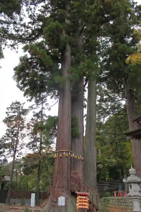 日枝神社(静岡県)