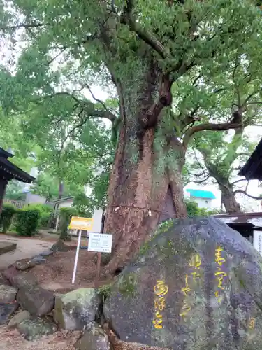 與賀神社の自然