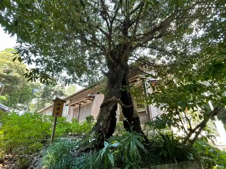 耳常神社(三重県)