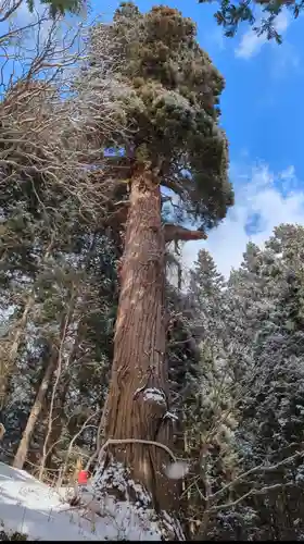 志和稲荷神社(岩手県)