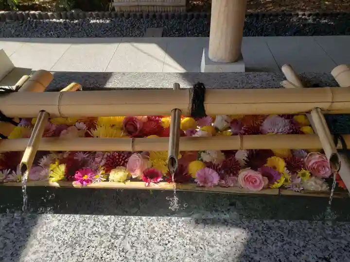 東郷神社(東京都)