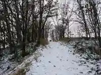 東中音更神社の自然