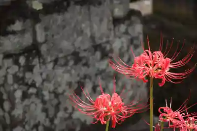 国宝 大法寺(長野県)