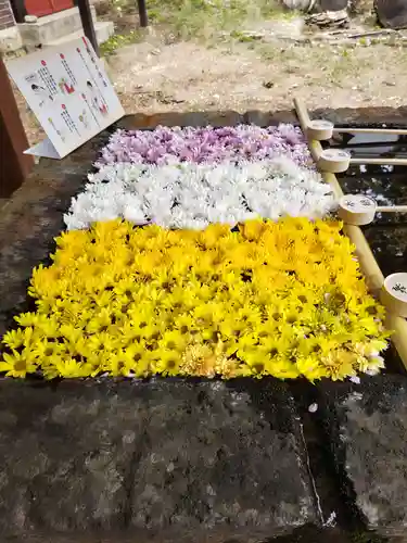 土津神社｜こどもと出世の神さまの手水