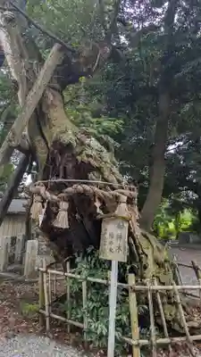 川尻八幡宮(神奈川県)