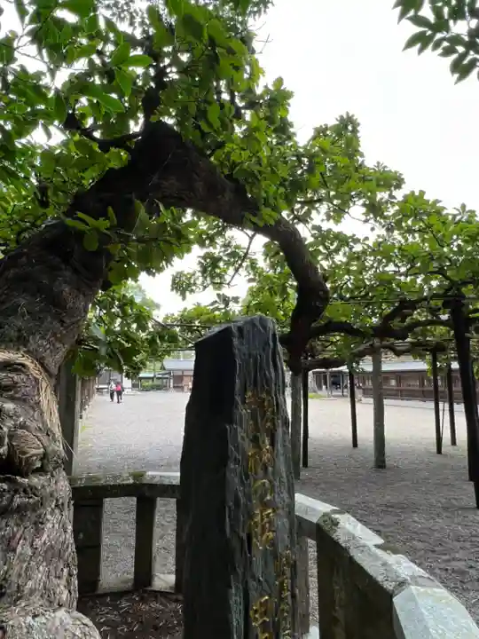 宗像大社のその他建物