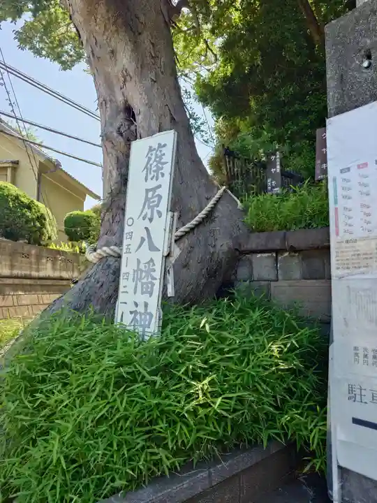 篠原八幡神社(神奈川県)