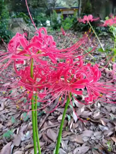 江守神社(福井県)