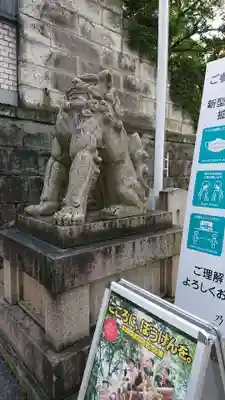 乃木神社の狛犬
